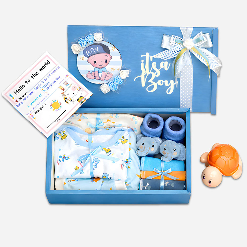 Blue Joy Newborn Hamper - Little Surprise Box – Little Surprise Box Pvt ...