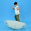 Light Green, Translucent Kelly - Jo all over teddy paws Rain and All - season Umbrella for Kids & Adults - Little Surprise BoxLight Green, Translucent Kelly - Jo all over teddy paws Rain and All - season Umbrella for Kids & Adults