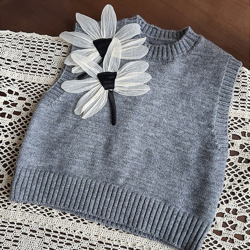 Grey Dragonfly 3pcs, Skirt and Top Winterwear for Girls.