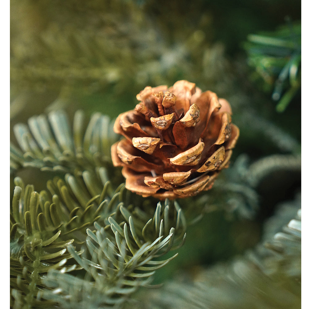 5.9 feet  Heavy Flocked Dense Pinecone Christmas Tree, with free 5 Big size Jute Ornaments, 180 cm with 950 Branch tips Xmas Décor