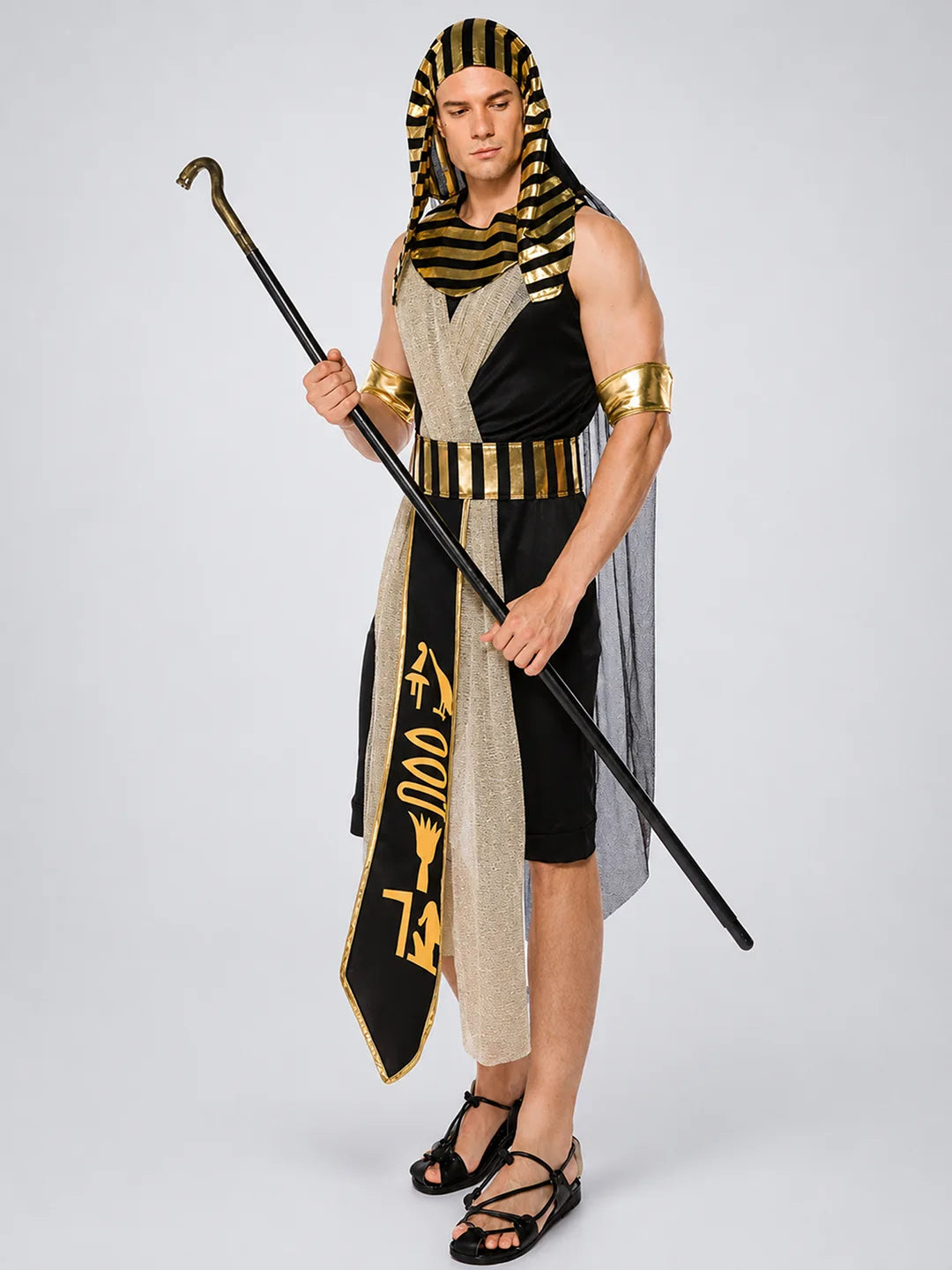 Black Egyptian King, Adults Halloween Costume Fancy Dress Up