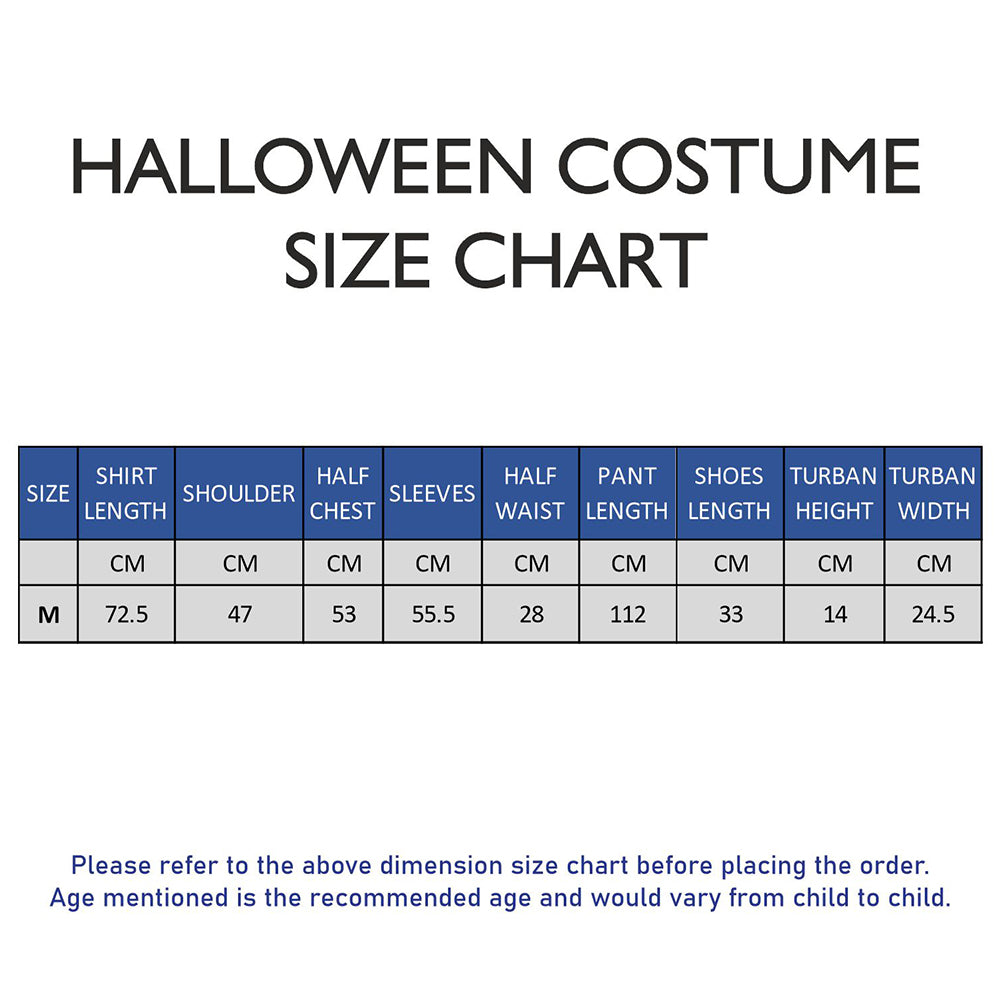 Aladdin Blue and Brown Adults Halloween Costume Fancy Dress Up
