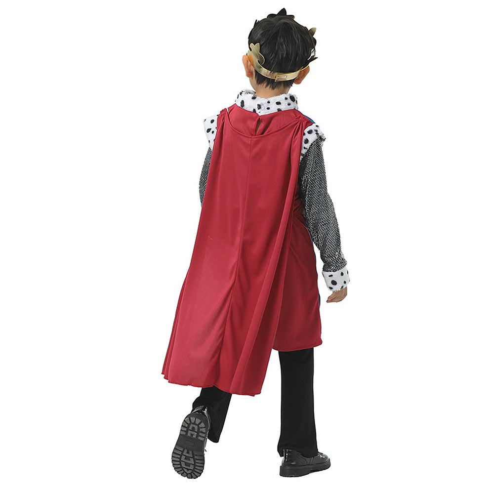 Medieval King costume,Kids Halloween Costume Fancy Dress Up