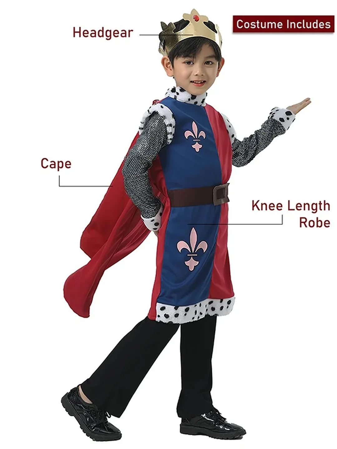 Medieval King costume,Kids Halloween Costume Fancy Dress Up