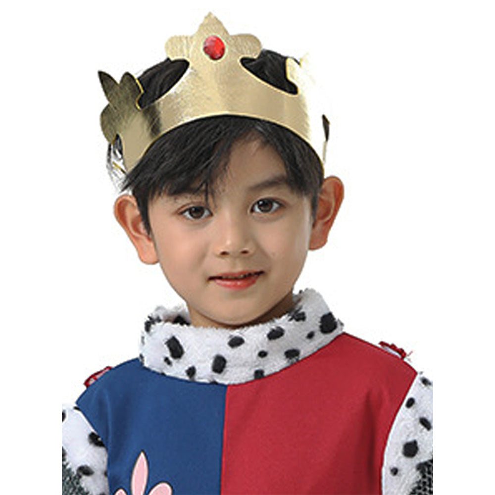 Medieval King costume,Kids Halloween Costume Fancy Dress Up