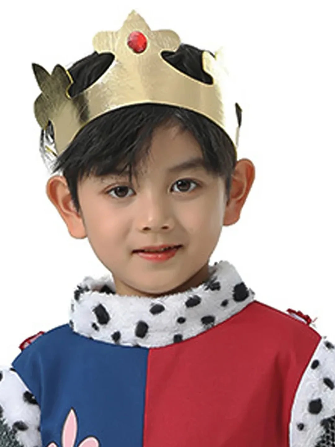 Medieval King costume,Kids Halloween Costume Fancy Dress Up