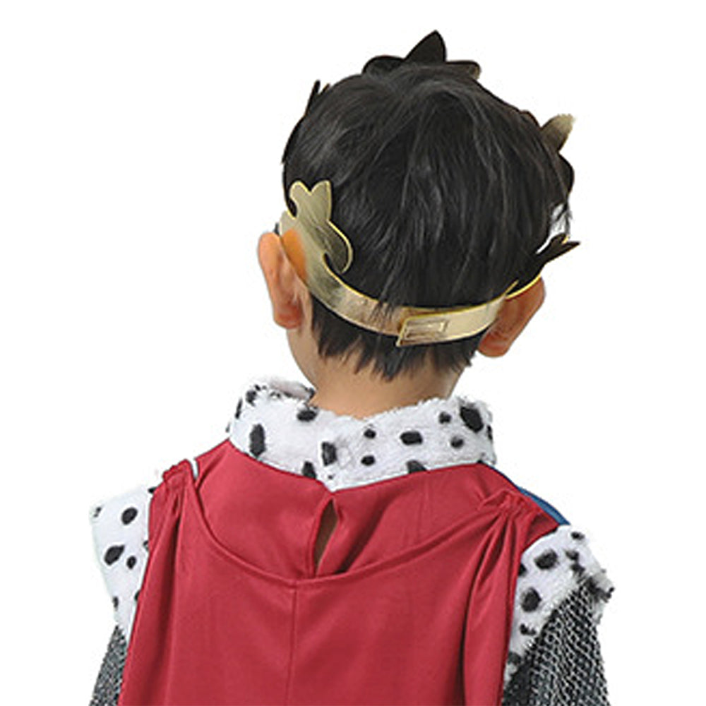 Medieval King costume,Kids Halloween Costume Fancy Dress Up