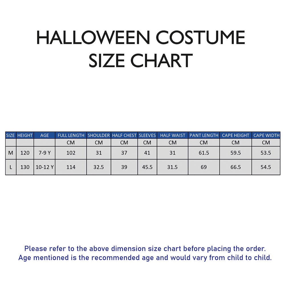 The Medieval Soldier ,Kids Halloween Costume Fancy Dress Up
