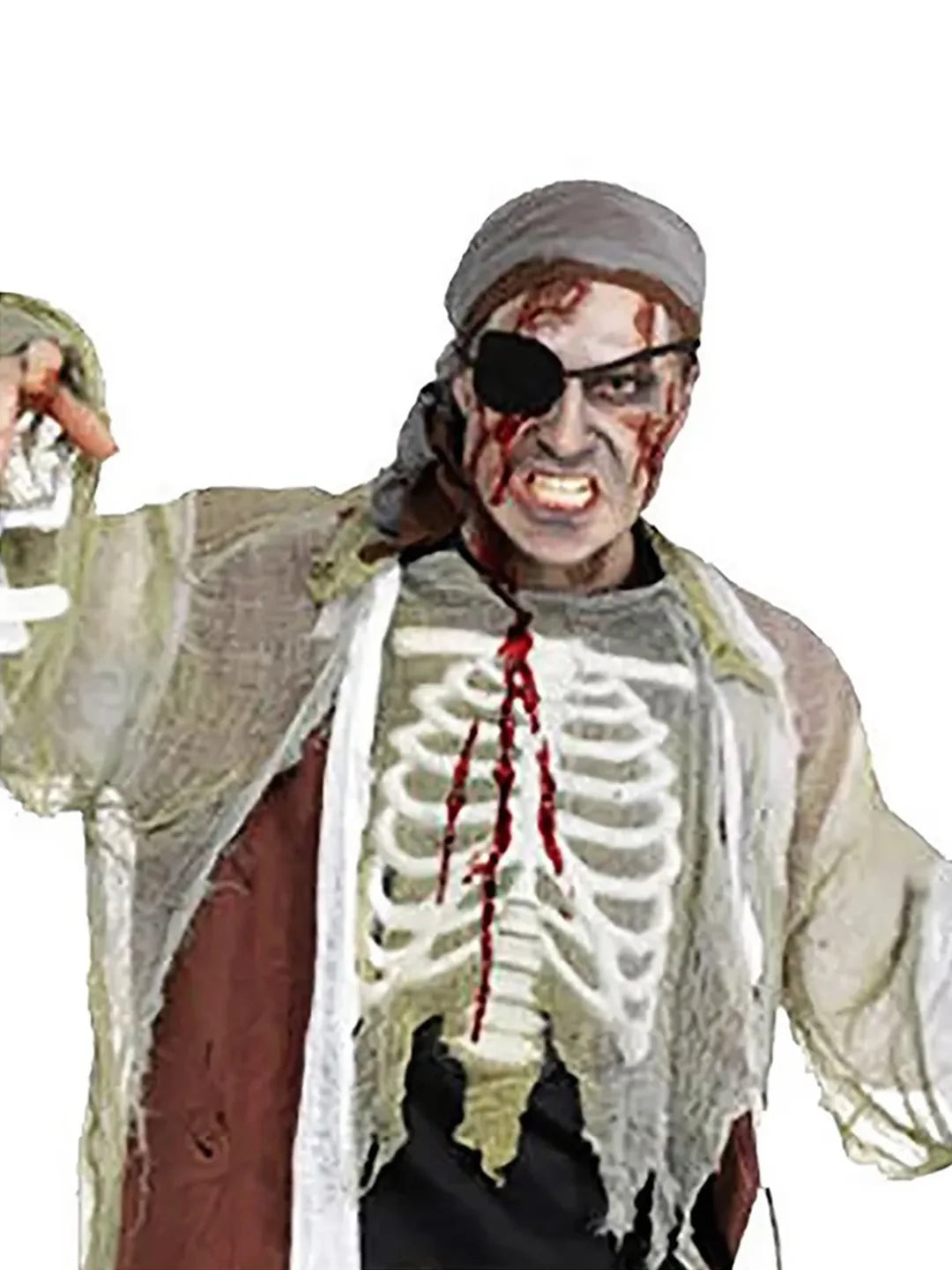 Zombie Pirate Adults Halloween Costume Dress Up