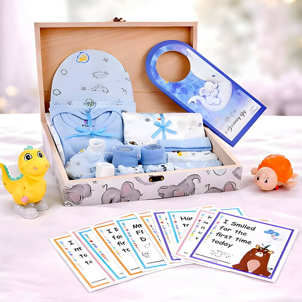 Little Prince Baby Boy Gift Hamper (0-12months)