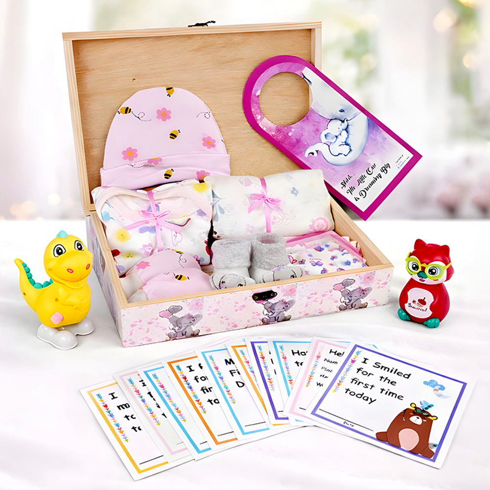 Little Princess Baby Girl Gift Hamper (0-12months)