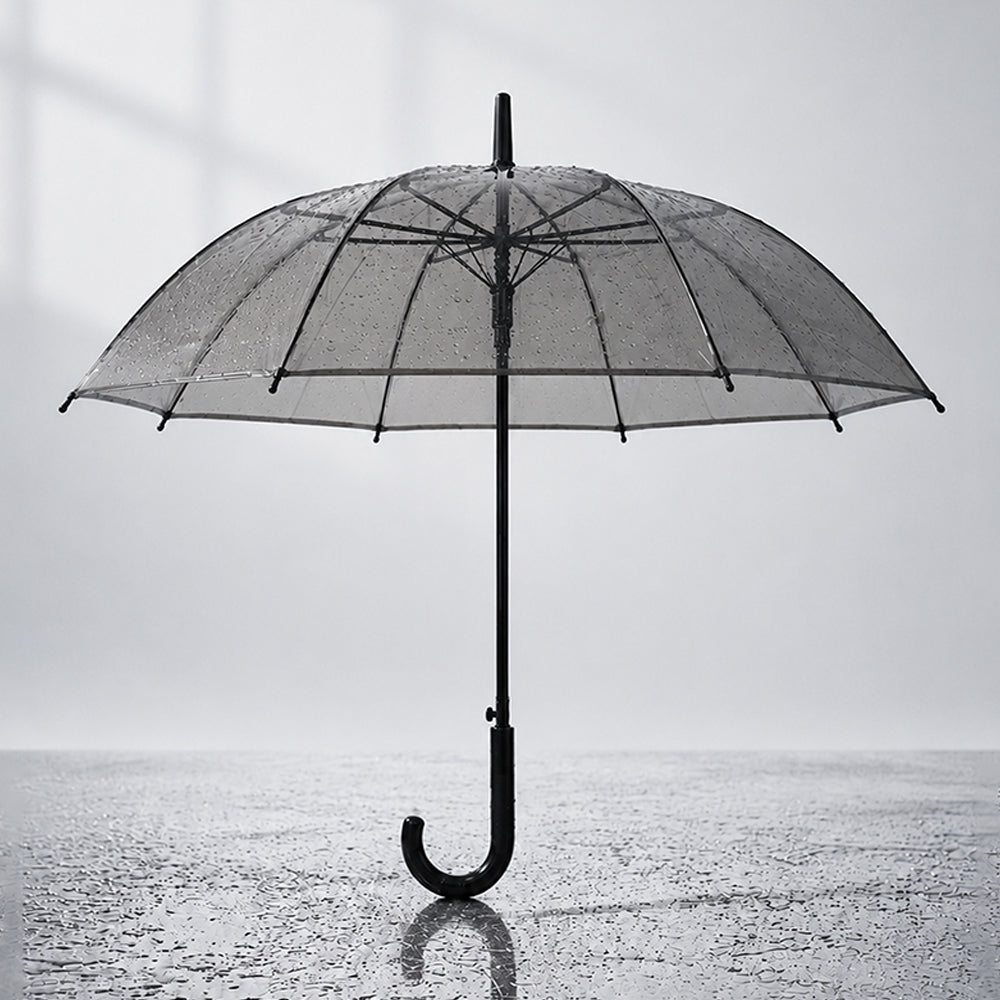 Black Beauty Jelly Transparent Umbrella for Teens & Adults