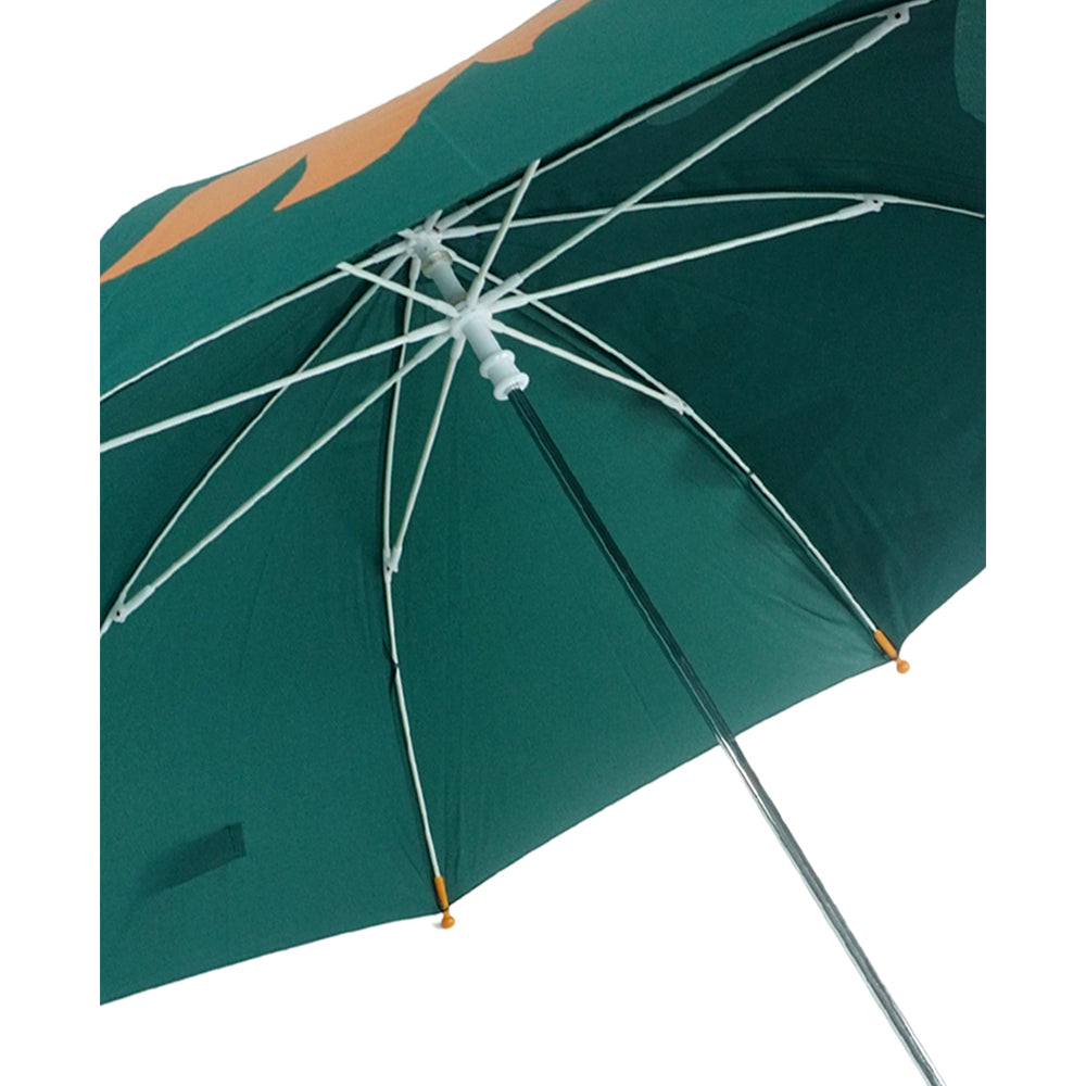Fire Dino Big Face Umbrella for Kids, 5yrs-10yrs