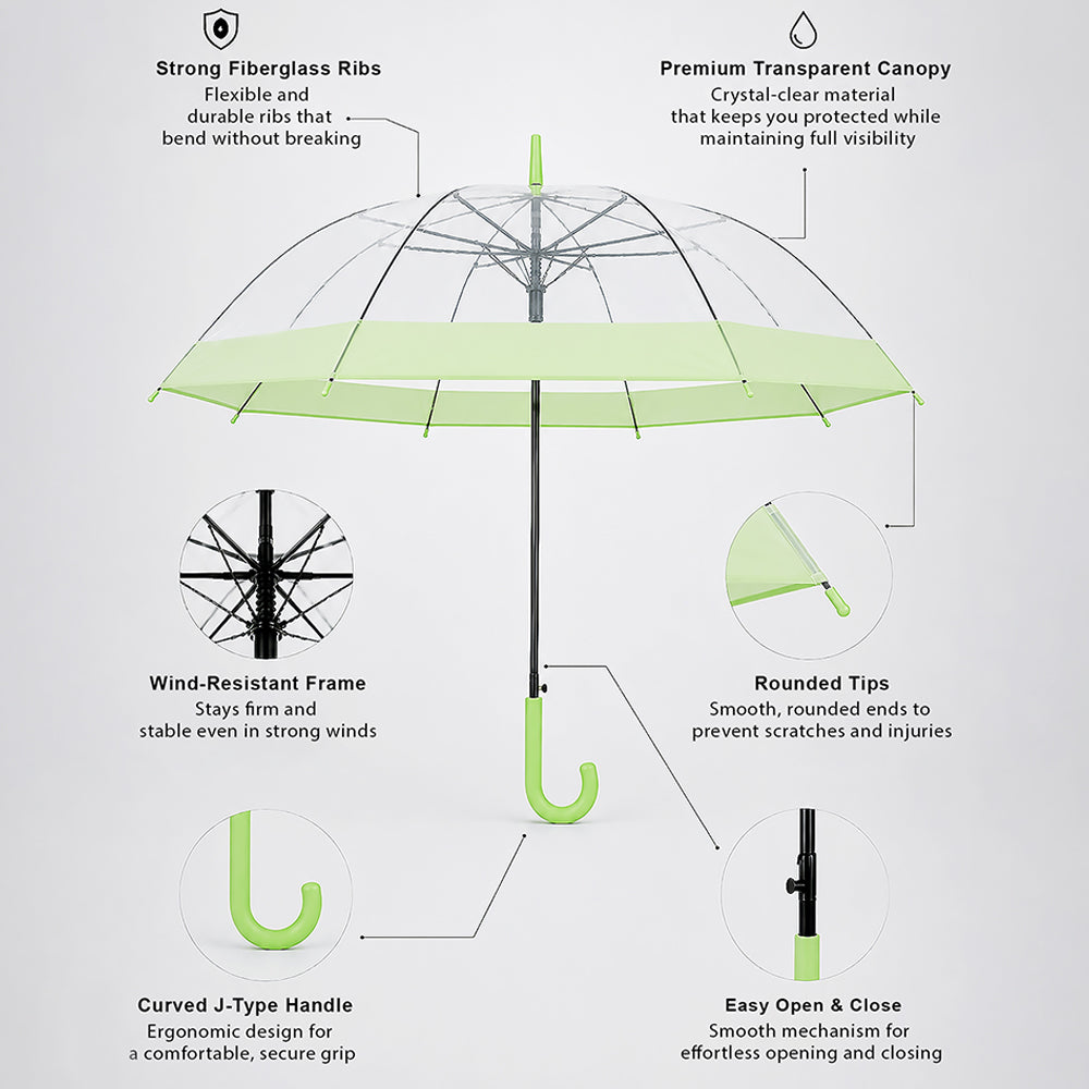 Green Big Border Transparent Umbrella for Teens & Adults