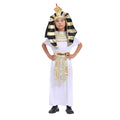 Egypt King theme Kids Halloween Costume - Little Surprise BoxEgypt King theme Kids Halloween Costume