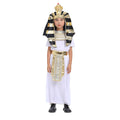 Egypt King theme Kids Halloween Costume - Little Surprise BoxEgypt King theme Kids Halloween Costume