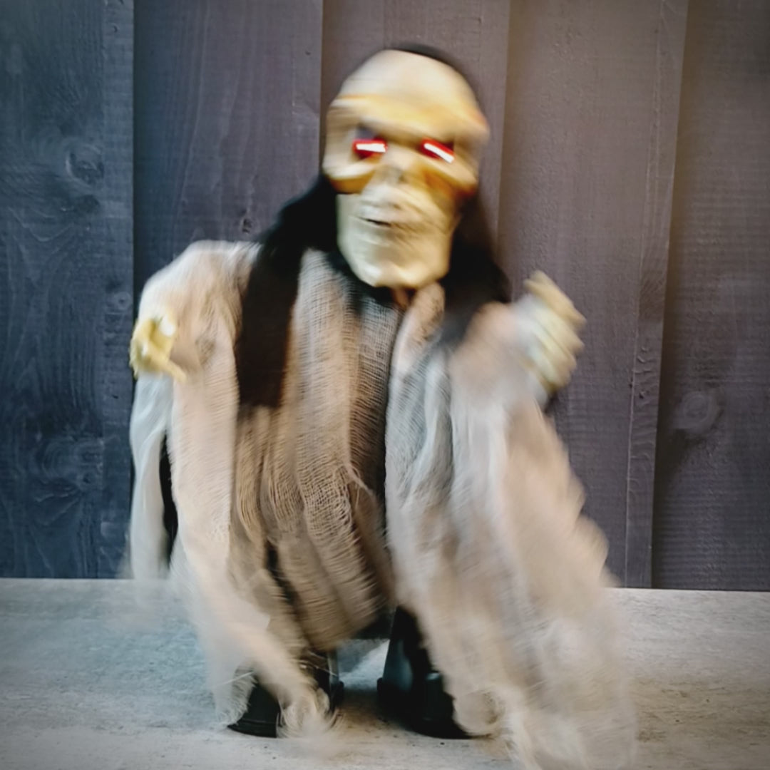 Black Scary walking Dwarf skeleton, Battery operated with voice, Motion and Light Halloween Party Décor