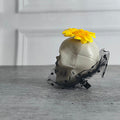 Yellow Flower Skull Akligator Clip Halloween Accessory for Halloween Party - Little Surprise BoxYellow Flower Skull Akligator Clip Halloween Accessory for Halloween Party