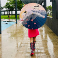 Bright Seagull, Chinese Canopy Style Rain and All season Umbrella - Little Surprise BoxBright Seagull, Chinese Canopy Style Rain and All season Umbrella