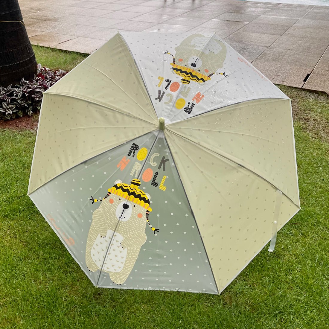 Olive Green, Translucent Rock and Roll Kelly Jo Teddy print with polka dots, Rain and All-season Umbrella for Kids & Adults - Little Surprise BoxOlive Green, Translucent Rock and Roll Kelly Jo Teddy print with polka dots, Rain and All-season Umbrella for Kids & Adults